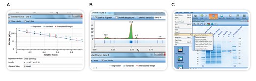 Image Lab software