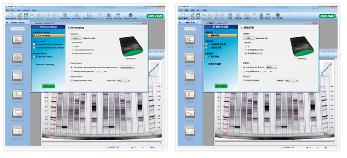 Software developed for the Gel Doc EZ imager