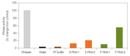 RNase levels in different RNA samples.