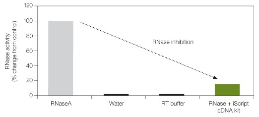 RNase inhibition with iScript cDNA synthesis kit
