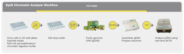 EpiQ Chromatin Analysis Workflow