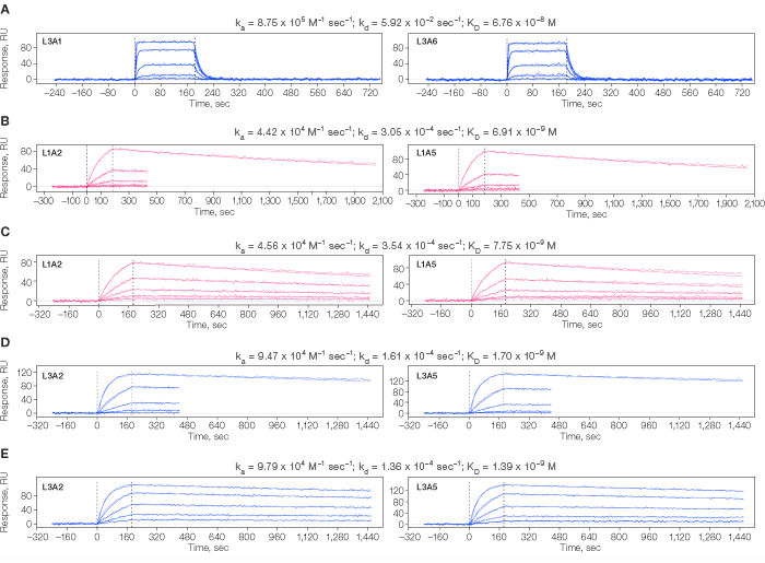 Kinetic analysis of analyte