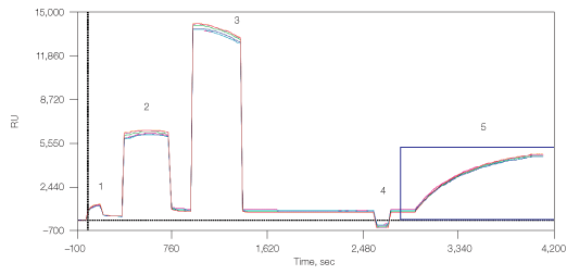 Fig. 6: Capturing lipoarticles by undecylamine