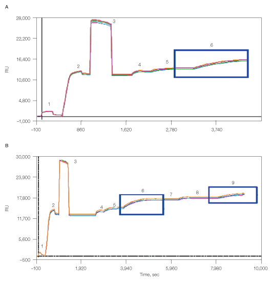 Fig.7: Capturing of lipoarticles using memLAYER method, single layer and double layer