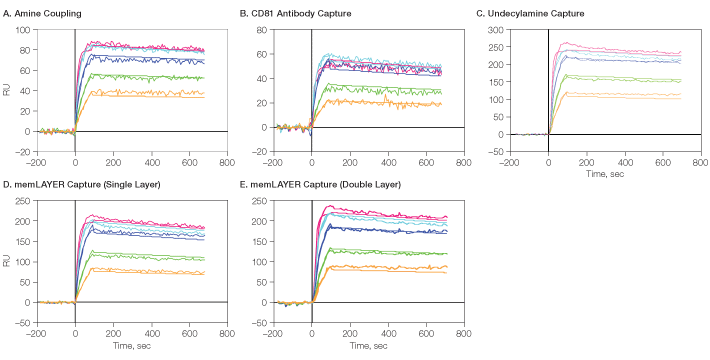 Fig. 9: Detailed kinetic analysis of CXCR4 membrane protein with its antibody