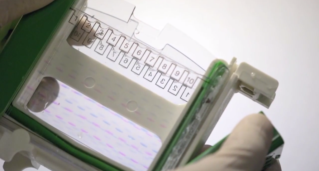 miniproteantgxgelscustomertestimonialsvideofeature Bioradiations
