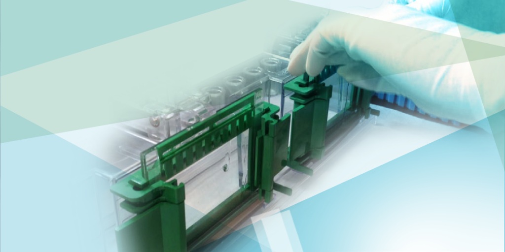 MiniPROTEAN TGX Precast Gels Bioradiations