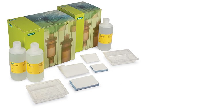 The economical Trans-Blot Turbo RTA transfer kit with all the components needed for western blotting.