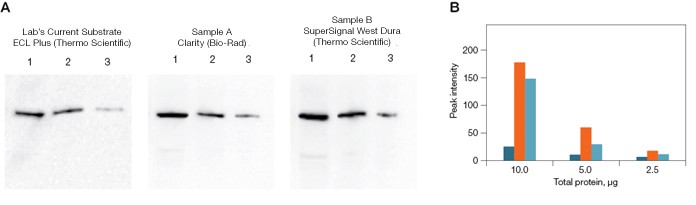 comparative study chemiluminescent reagents