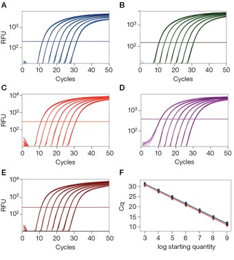 Multiplex detection of five targets using the CFX96 Touch Deep Well real-time PCR system