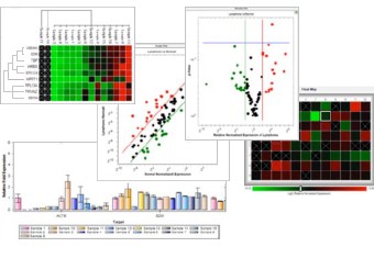 Gene expression analysis tools available in the CFX Manager software