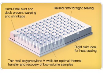 Hard-Shell PCR plate design that withstands the stresses of thermal cycling