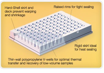 Hard-Shell PCR plate design that withstands the stresses of thermal cycling