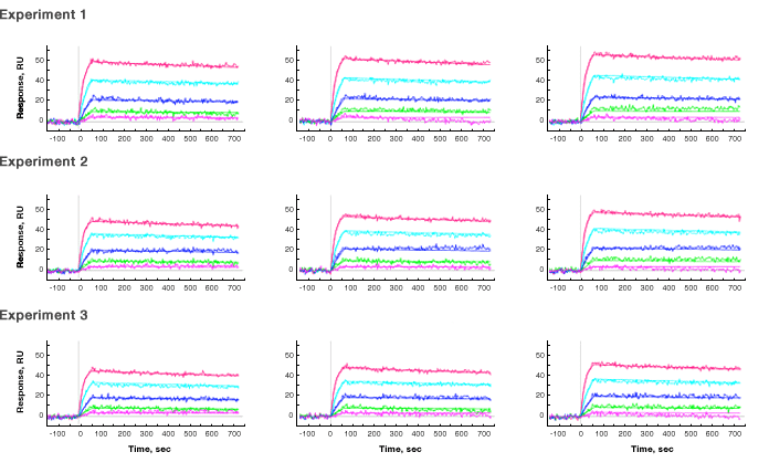 Sensorgrams depicting signal responses using the two-layer capture strategy with biotinylated ligands