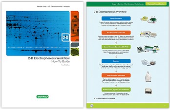 Bio-Rad's newly updated 2-D Electrophoresis Workflow How-To Guide