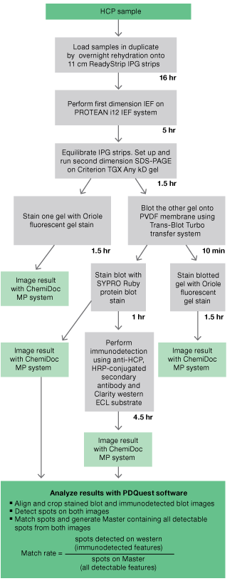 Workflow for HCP evaluation during antibody development