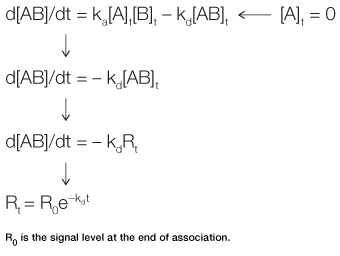 Dissociation phase of analyte and ligand binding