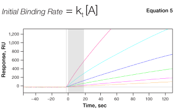 Concentration analysis of SPR data