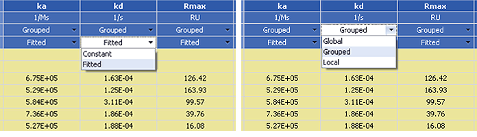 Kinetic analysis parameters