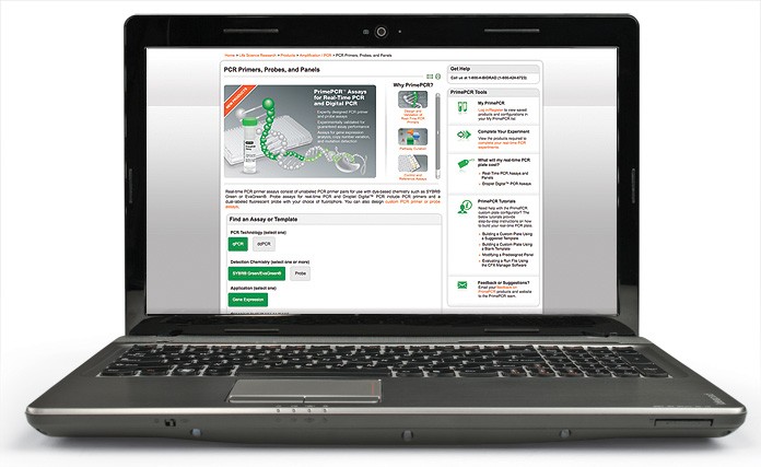 PrimePCR assays online filtering tool options