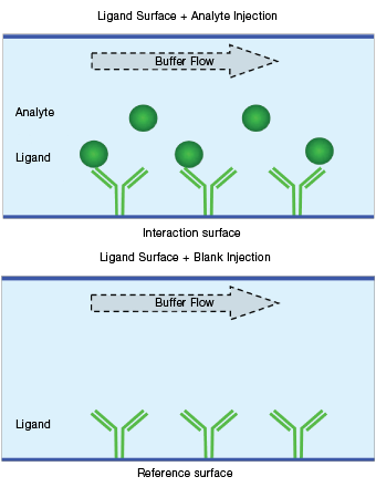 Blank buffer reference schematic