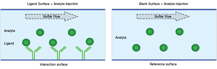 Blank surface reference schematic