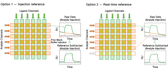Injection and real-time blank references in the ProteOn system
