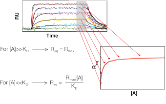 A typical SPR sensorgram