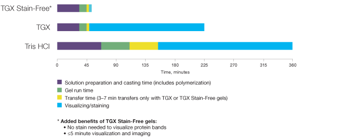 Time to results comparison of different electrophoresis gel chemistries.