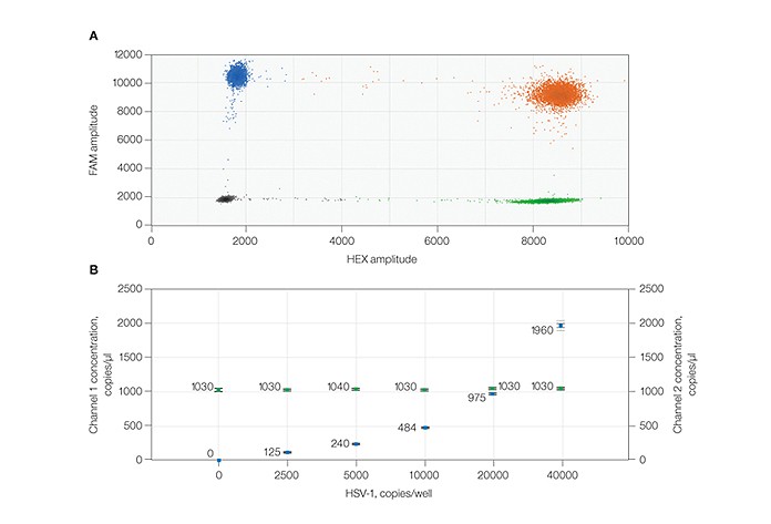 Detection of HSV-1 and B2Musing ddPCR technology