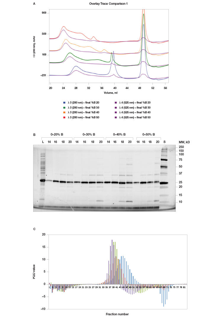 Scouting for appropriate percent B for protein purification