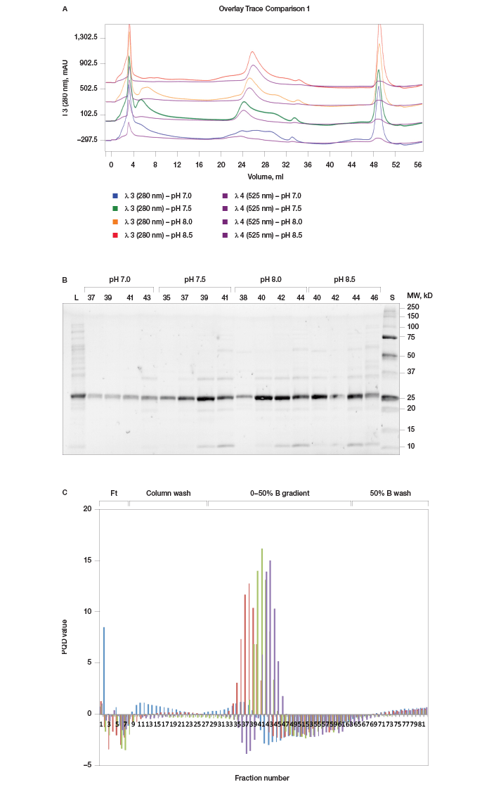 Scouting for appropriate pH for protein purification