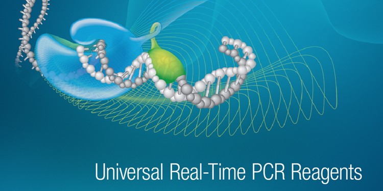PCR | Bioradiations