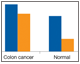 Apoptosis biomarker detection in colon cancer samples