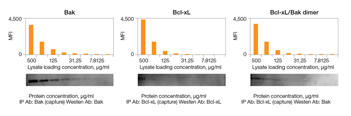 Comparison of sensitivity of Bio-Plex Pro RBM apoptosis assays vs. western blots