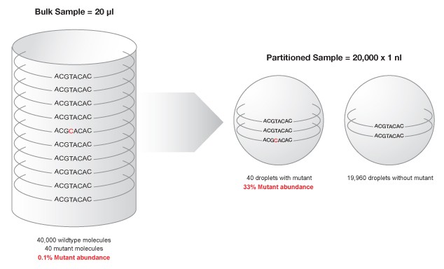 partitioning