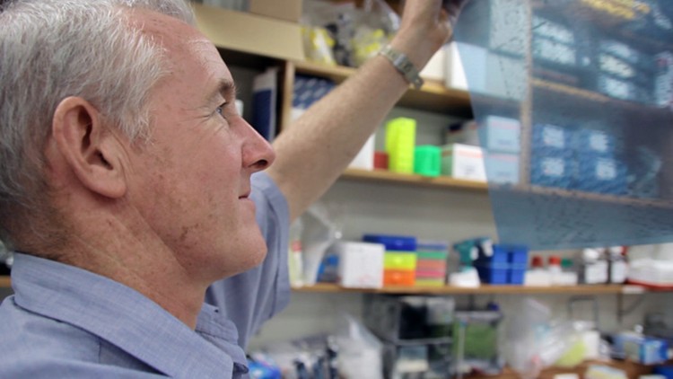 Researcher Mike Brisco studying T-cell rearrangements