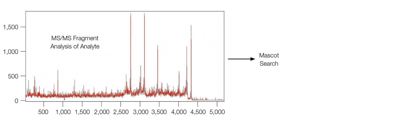 Data from MALDI-MS analysis of the analyte β-amyloid 1–40 fragment directly from the sensor chip surface