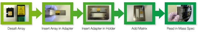 Workflow diagram for MALDI-TOF-MS identification of molecules following kinetic analysis using the ProteOn sensor chip.