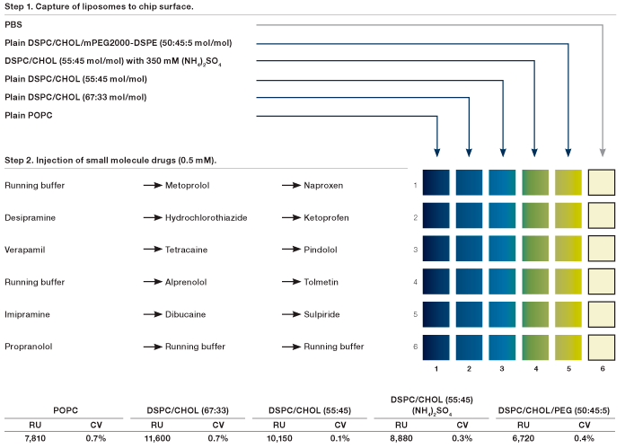 Experimental design of the screening of fourteen small molecule drugs against five liposomes using the 6 x 6 configuration in the ProteOn XPR36 system