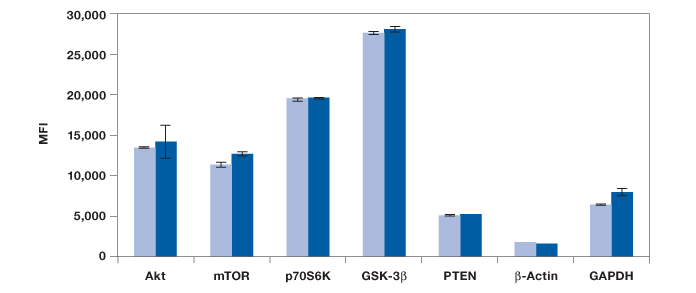 Total and housekeeping protein measurements