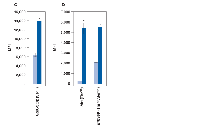 Detection of phosphorylated proteins in Hep G2 cells after  treatment with insulin