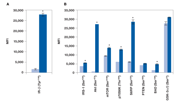 Detection of phosphorylated proteins in Hep G2 cells after treatment with insulin