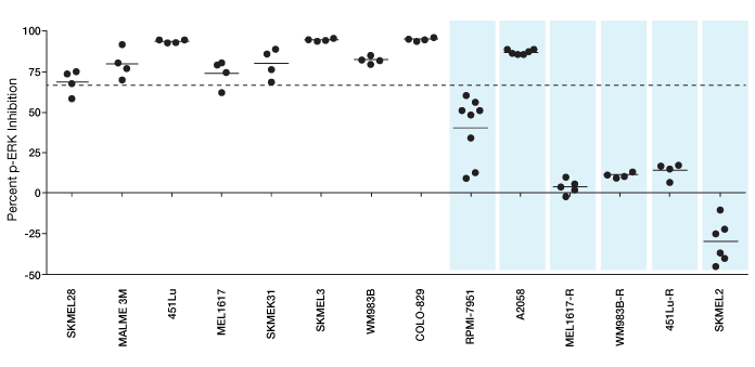 melanoma-cell-line-signaling-profile-data