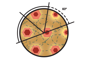 Angular separation between nerve firing peaks