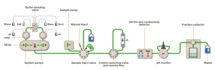 The easy visual flow path of the NGC chromatography system