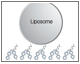 Liposome Capture Using the ProteOn GLC Lipid Kit