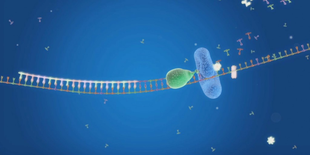 realtimeqpcrvideotutorialsfromreagentselectiontorealtimepcr