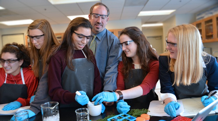 Sample preparation by students from redwood needles