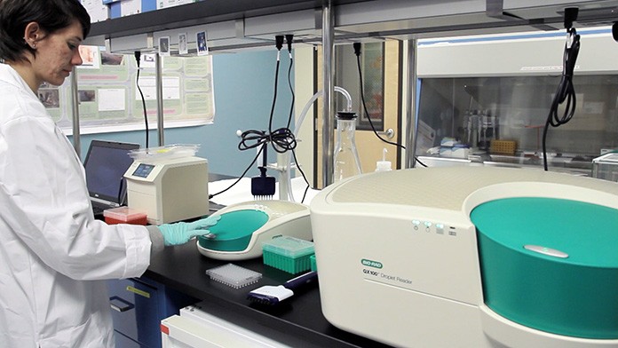 Scientist using Droplet Digital PCR to analyze water samples from a Southern California beach